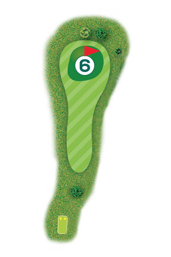 Buca n.6 Percorso 9 buche Golf Club I Salici