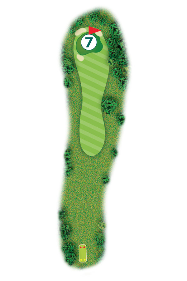 Buca n.7 Percorso 9 buche Golf Club I Salici