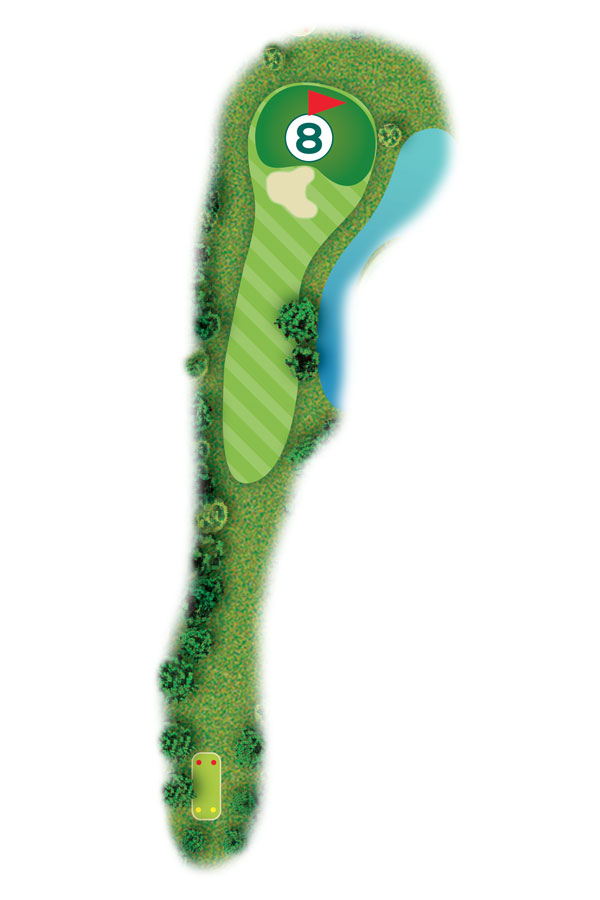 Buca n.8 Percorso 9 buche Golf Club I Salici